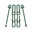 Ski & Stöcke Icon