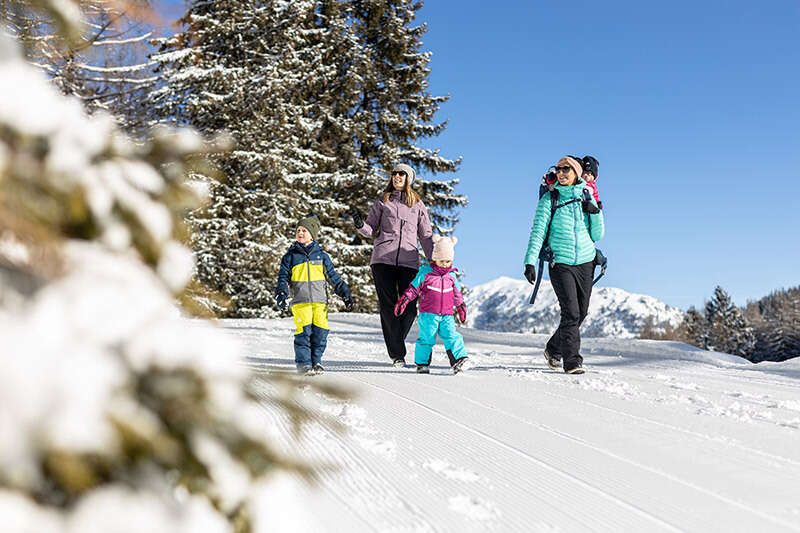 Winterwandern Almpromenade Gerlosstein